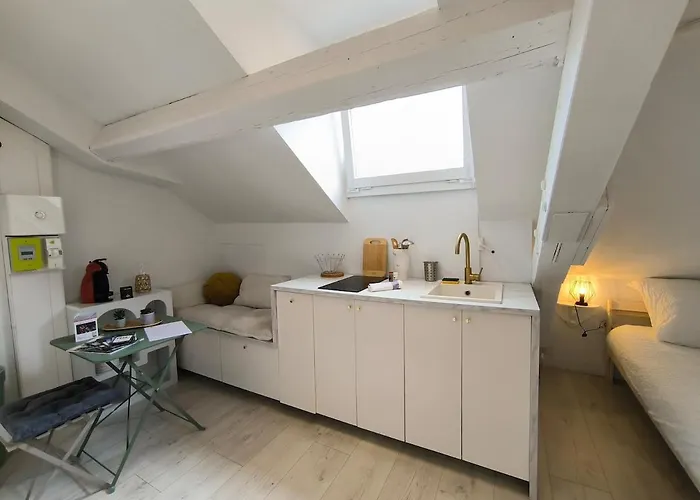 Petit Cocon Entierement Renove A 2 Pas Des Halles * Pau