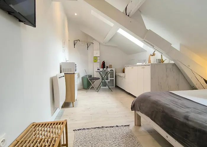 Petit Cocon Entierement Renove A 2 Pas Des Halles Pau